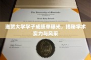 滋贺大学学子成绩单大揭秘，一窥学术实力与青春风采