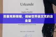 苏塞克斯荣耀探秘，探寻世界级文凭的非凡价值