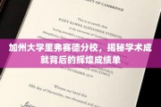 解码加州大学里弗赛德分校，揭秘学霸背后的耀眼成绩榜