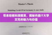解码哥本哈根科技精英，丹麦IT大学文凭的非凡魅力与深远价值