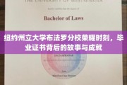 布法罗分校荣耀瞬间，揭秘毕业证书背后的辉煌成就与感人历程
