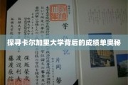解码卡尔加里大学卓越背后的秘密