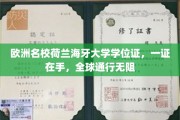 欧洲通行证在手，荷兰海牙大学学位证书，解锁全球职场新境界