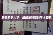 揭示新罗大学成绩单中的学术奥秘