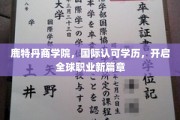 跨国精英摇篮，鹿特丹商学院助力国际职场飞跃