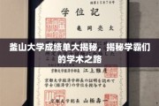 解码釜山学霸，成绩单背后的学术传奇之路