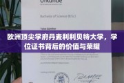 丹麦利利贝特大学学位，探寻荣耀背后的价值密码