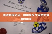 东义大学文凭迷雾，名校光环下的真相探寻