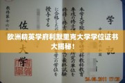 利默里克大学学位证书背后的神秘面纱，一探究竟！