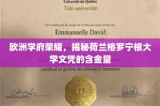 荷兰格罗宁根大学，欧洲精英教育的金钥匙