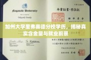 解码加州大学里弗赛德分校，学历价值与职场未来展望