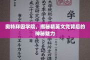 奥特拜因学院的秘密魅力，探寻精英文凭背后的非凡传奇