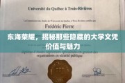 东海明珠下的学历奥秘，探寻不为人知的文凭风采