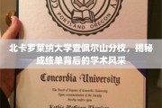 探索北卡罗莱纳大学查佩尔山分校，揭秘学霸背后的学术魅力