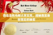 文凭背后的秘密，圣托马斯大学假证疑云揭开真相