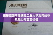 德国不伦瑞克工业大学文凭，揭秘其独特魅力与卓越价值