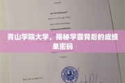 解码学霸传奇，青山学院大学成绩单背后的秘密世界
