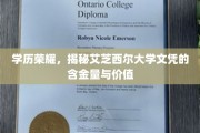 艾芝西尔大学文凭，解码高学历背后的价值与光芒