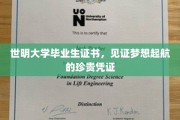 梦想启航的里程碑，世明大学毕业生证书，记录青春荣耀的非凡证章