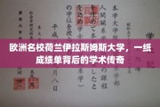 荷兰伊拉斯姆斯大学，揭开一纸成绩单背后的学术璀璨故事