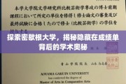 解码密歇根大学，成绩单背后的学术秘境大揭秘