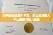 新加坡商科精英养成记，揭秘管理大学认证证书的独到魅力