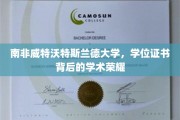 探寻南非威特沃特斯兰德大学学位证书背后的学术璀璨之光