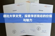 学历光芒下的德比大学，解码文凭背后的价值密码