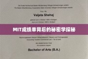 解锁MIT成绩单，背后的学术奥秘揭秘之旅