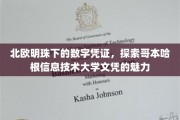 解锁哥本哈根明珠，揭秘丹麦IT大学文凭的科技魅力