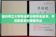 纽约州立大学布法罗分校毕业证书，开启新篇章的荣耀凭证