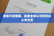 谢菲尔德荣耀，解锁国际认可的精英大学学位之旅