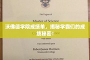 揭开沃佛德学霸成绩背后的神秘面纱