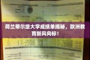 荷兰蒂尔堡大学成绩单曝光，引领欧洲教育新潮流
