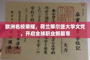 荷兰蒂尔堡大学荣耀启航，跨国文凭助您职场飞跃新里程