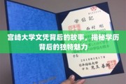 宫崎大学文凭背后的传奇，探索学历的独特风采