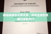 都柏林城市大学文凭，解锁国际职场新天地