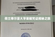 解锁荷兰蒂尔堡大学卓越荣誉背后的故事