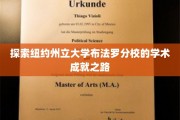 探索纽约州立大学布法罗分校的学术成就之路