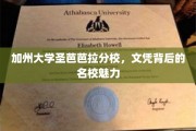 解码加州圣芭芭拉，名校文凭背后的璀璨光环