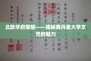 探寻南丹麦大学文凭的北欧之光