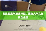 学历黄金比，龙比亚高学历通行证解码高等教育价值