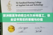 解码代尔夫特荣耀，荷兰精英学府的毕业证书价值几何？