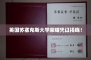 苏塞克斯大学荣耀证书盛大揭晓，揭秘学术巅峰之作！