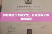 都柏林城市大学文凭，领航全球教育新时代