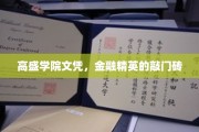 金融领域璀璨敲门砖，高盛学院文凭引领精英之路