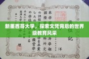 解码新墨西哥，文凭背后的卓越教育魅力