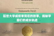 延世学霸的秘密，揭开成绩单背后的成长传奇