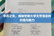 世明大学文凭，揭开学历背后的非凡价值与璀璨魅力