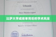 探寻比萨大学成绩单背后的学术璀璨之光